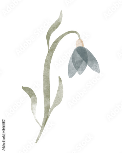 Watercolor trendy flower. Vector illustration for web, app and print. Elegant feminine shape floristic isolated snowdrop flower. Garden, botanical, minimalistic floral element.
