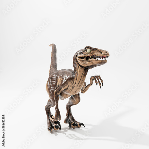 velociraptor isolated on white photo