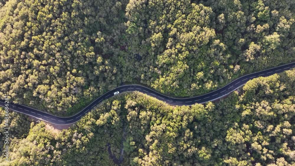 Top view of the curvy road across the green thick forest. Green forest on Madeira. Aerial view os the road in woods. The lonely car moving in the green woods of Madeira. Madeira, Portugal. Top view of the curvy road across the green thick forest. Green forest on Madeira. Aerial view os the road in woods. The lonely car moving in the green woods of Madeira. Madeira, Portugal.