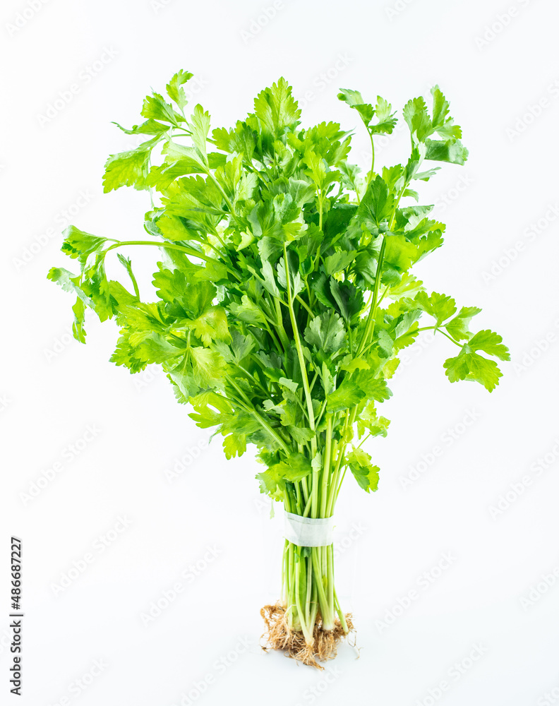 Handful of fresh organic vegetable celery on white background Handful of fresh organic vegetable celery on white background