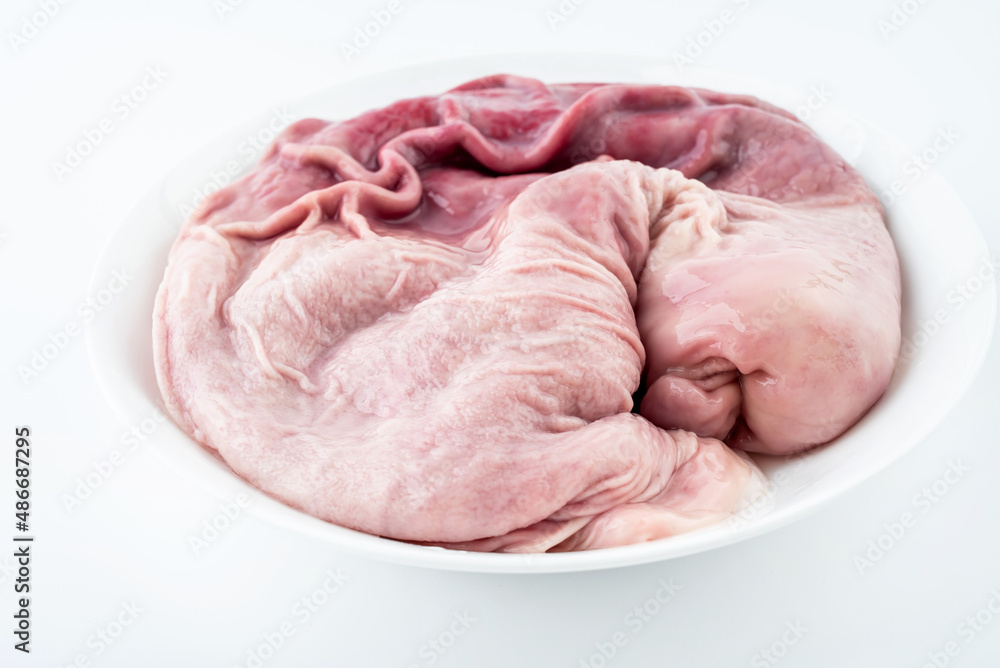 A dish with a fresh pork belly on a white background A dish with a fresh pork belly on a white background