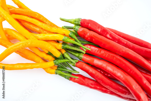 Fresh yellow and red peppers on white background