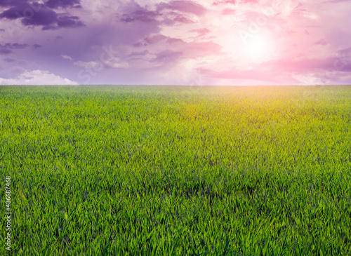 Green field and picturesque cloudy sky at sunset