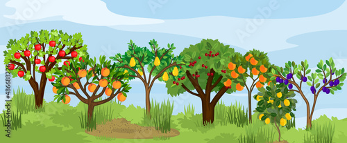 Landscape with different fruit trees with ripe fruits on the branches. Harvest time