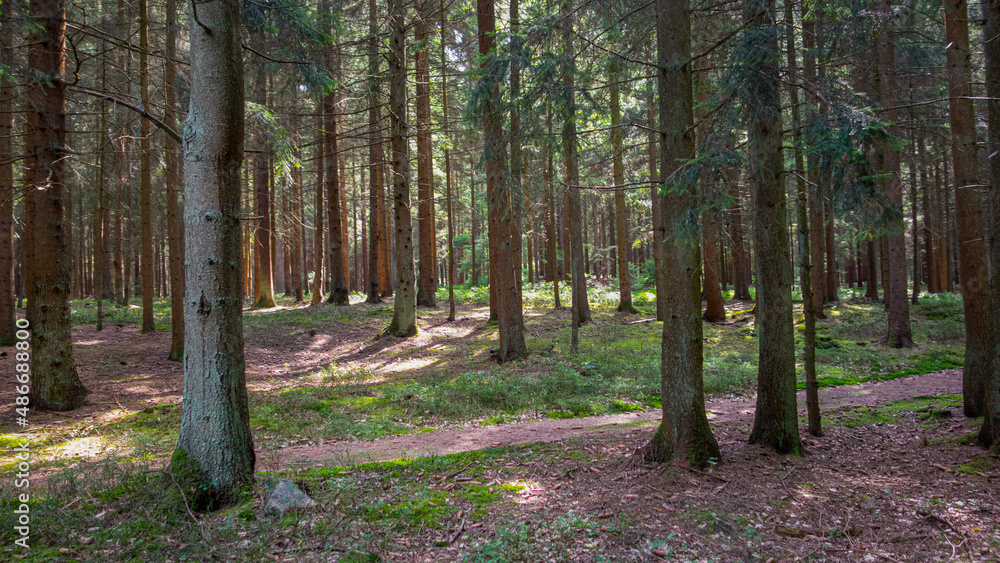 lüneburger heide lüneburger heide