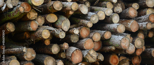 timber industry  sustainably sourced timber grown   harvested from  well managed forests for construction 
