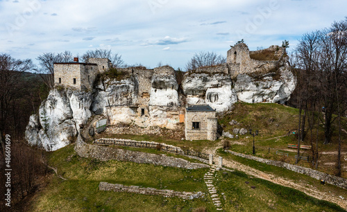 Wallpaper Mural Ruins of Bakowiec Castle in Morsko, Poland Torontodigital.ca