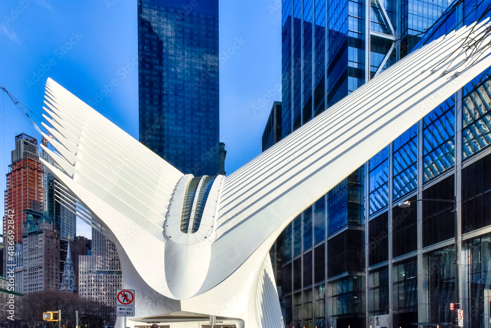 dis Billedhugger Sammenligning The Oculus transportation hub in the World Trade Center, New York, USA  Stock Photo | Adobe Stock