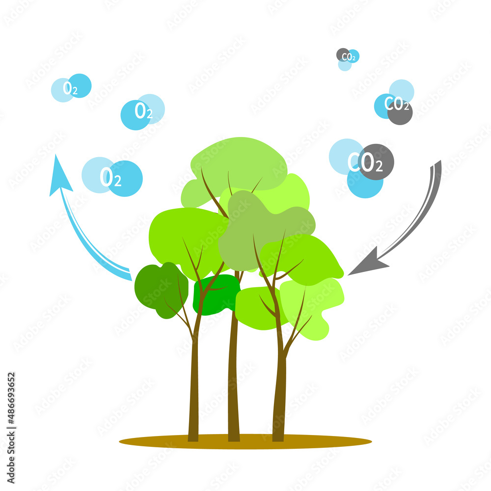 Illustration of trees releasing oxygen and absorbing carbon dioxide