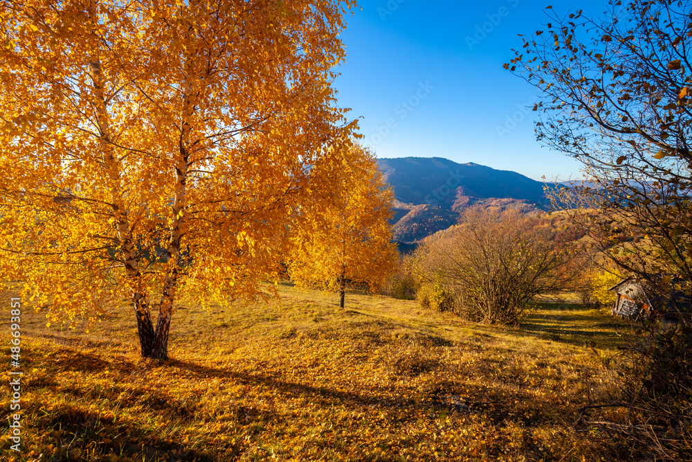 Naklejka premium Mountain landscape on an autumn sunny day