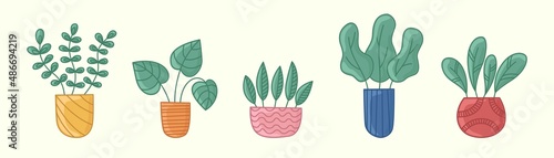 A set of houseplants in vases. Vector illustration in cartoon style on a light background. (ID: 486694219)