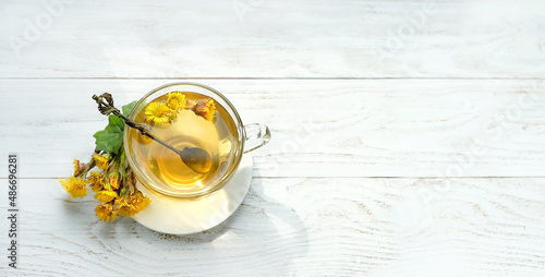 Fresh spring coltsfoot flowers and glass tea cup on white rustic wooden table. Healing herbal infusion with medicinal plant Coltsfoot (Tussilago farfara). top view. banner. copy space photo