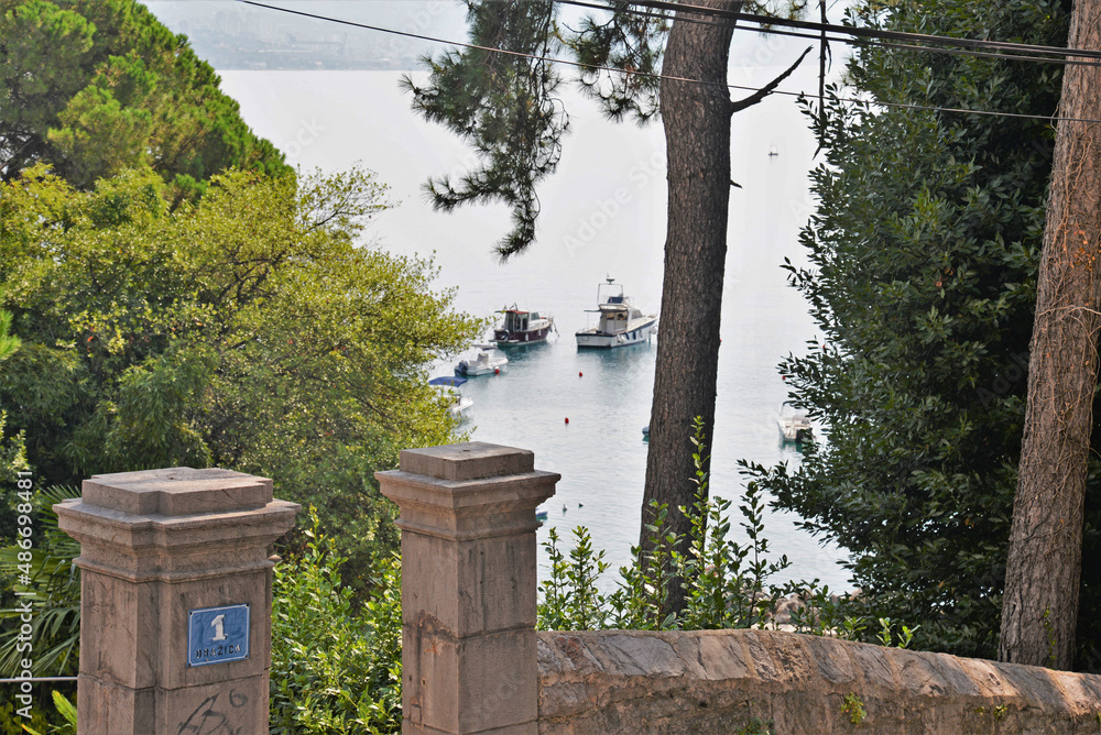 Fototapeta premium Trees and nature