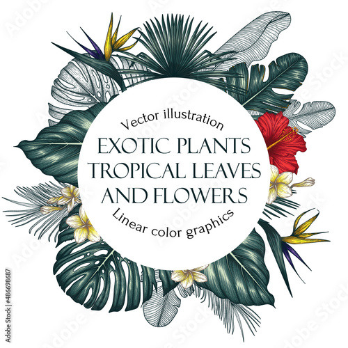Vector template with tropical plants. A frame of graphic linear and colored exotic flowers and leaves. Monstera, plumeria, hibiscus, palm and banana leaves