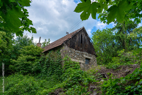 Abandoned old cottage in the woods. Built of stone and wood.