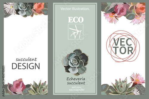 Succulents and cactus flowers. A set of templates for the design of ecological printed products. Vector illustration in a flat, minimalist style.