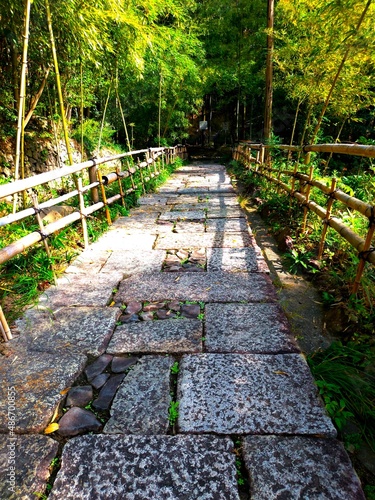 四国村　竹林の道