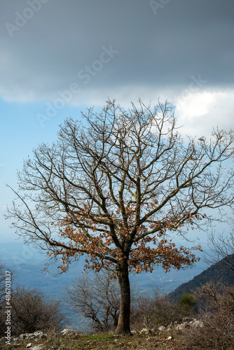 Paysage hivernal en Italie © PPJ