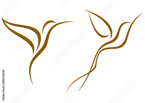 Hummingbird logo. Abstract concept, icon set. Vector illustration isolated on white background.