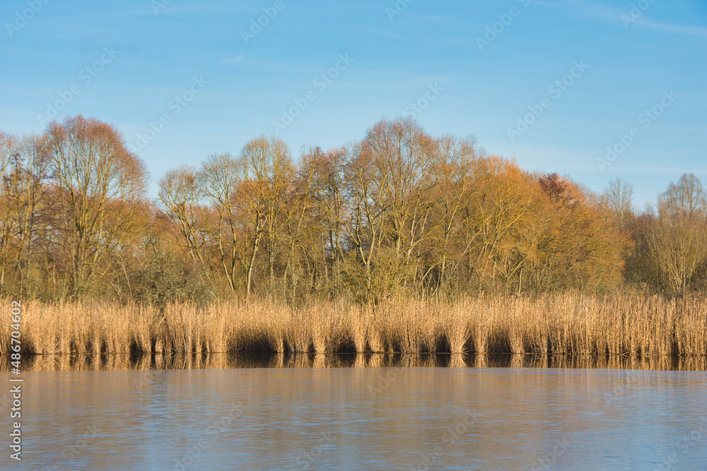 Obraz premium See, Eisschicht, Schilf, kalt