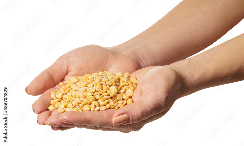 raw peas in hands raw peas in hands