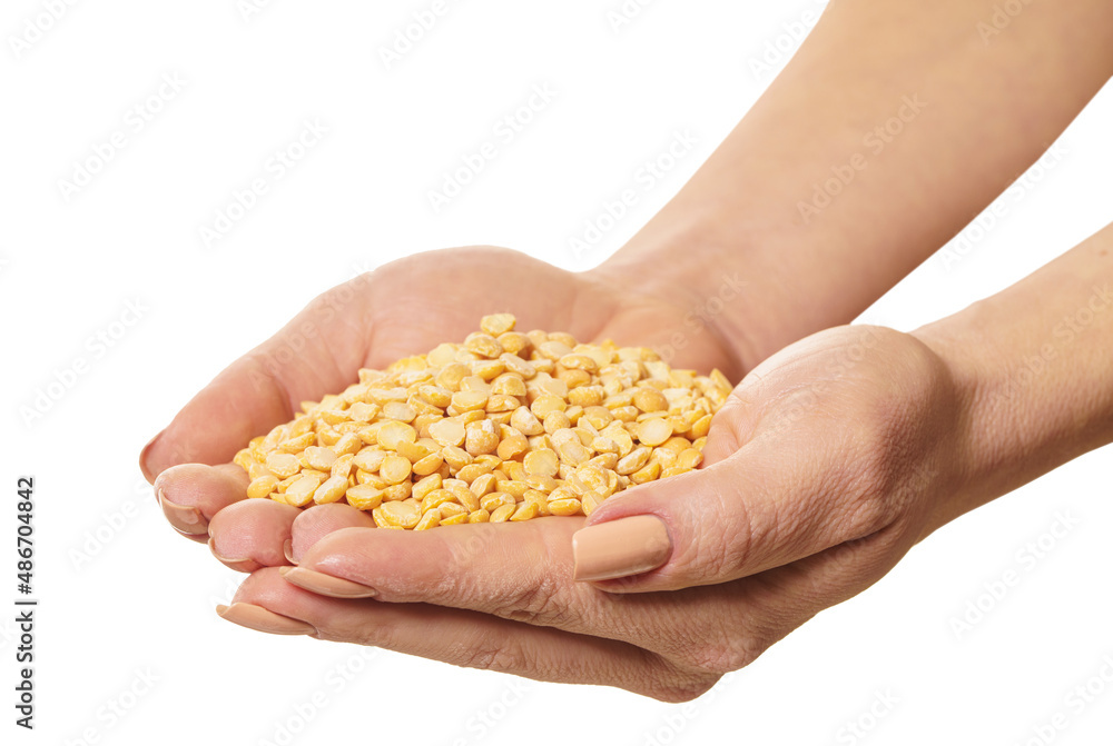 raw peas in hands raw peas in hands
