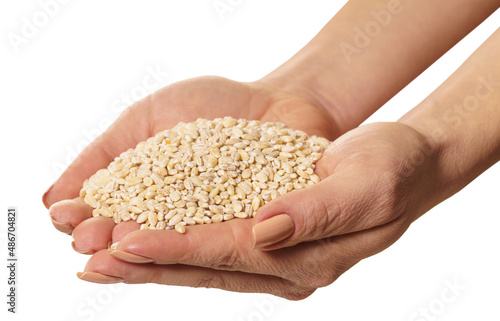 raw barley in hands