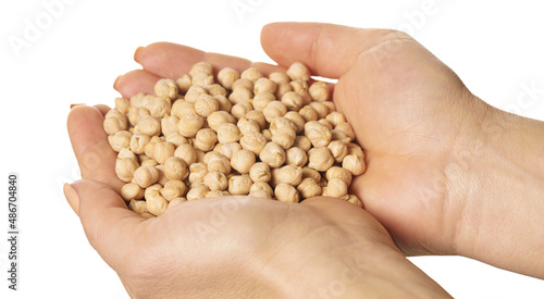 raw chickpeas in hands