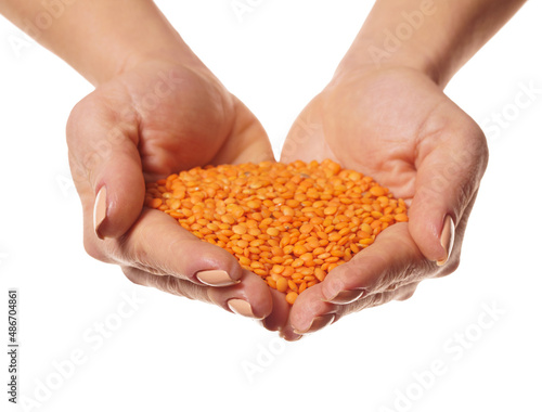 raw lentils in hands