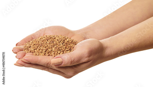 raw buckwheat in hands