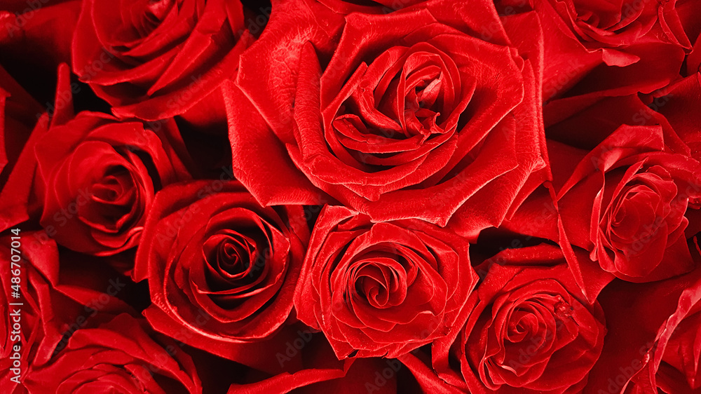 Top view of a bouquet of open red Dutch roses. Festive luxury red flower background Top view of a bouquet of open red Dutch roses. Festive luxury red flower background