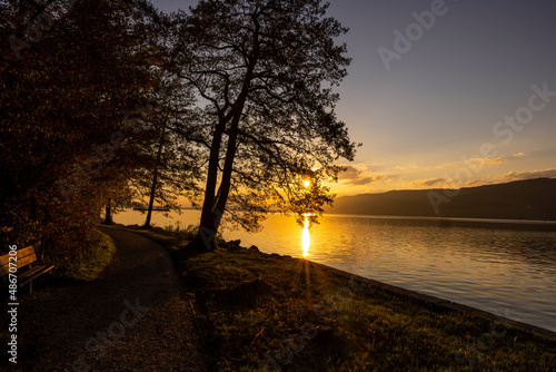 sutz lattrigen am bielersee seeufer mit baum idyllischer sonnenuntergang in der schweiz photo