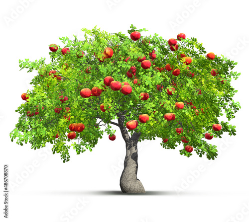 Fotografie, Obraz red apple tree isolated 3D illustration