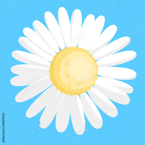 daisy on blue background flat design 