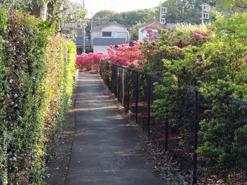 路地の風景