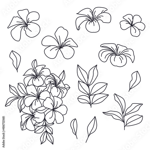 Coloring book with tropical flowers and leaves. Frangipani  contour drawings