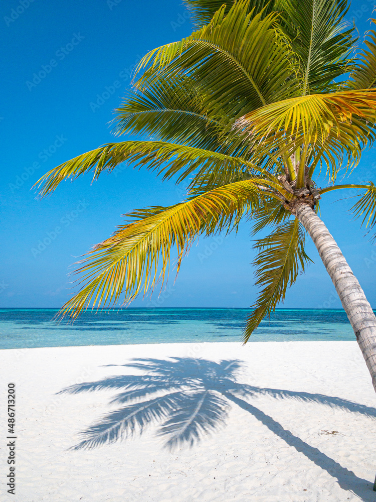 Fototapeta premium Beautiful, relaxing outdoor landscape of tropical island beach. Palm trees over blue azure ocean lagoon. Exotic traveling destination, summer vacation, beach seaside. Colorful nature sea sand sky view