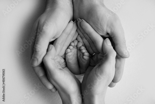 The palms of the father, the mother are holding the foot of the newborn baby. Feet of the newborn on the palms of the parents. Photography of a child's toes, heels and feet. Black and white photo. 