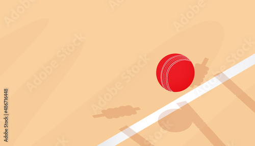 Vector illustration of cricket abstract background. Sports concept