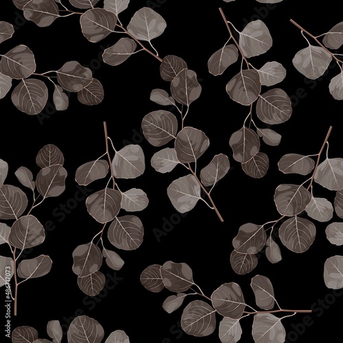 Seamless pattern with abstract Eucalyptus Silver Dollar on a black background. Illustration of abstract brown plant, foliage and natural leaves. Template for floral textile design.