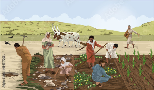 Biblical image showing people breaking up the fallow ground in the Parable of the Sower photo