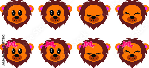 Lion face