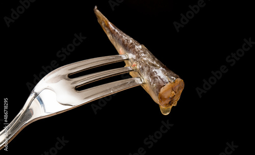 Galician sardine, pierced on a fork, with a black background