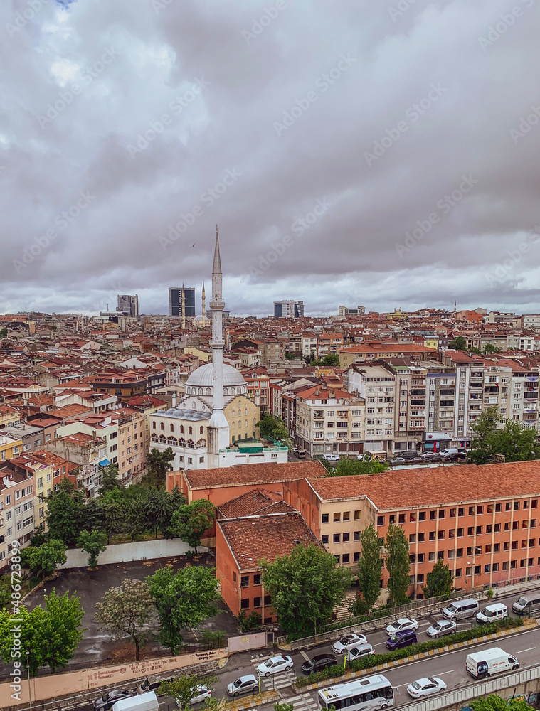 Obraz premium Travel to Turkey. Holidays in Istanbul. Vertical aerial view of city.