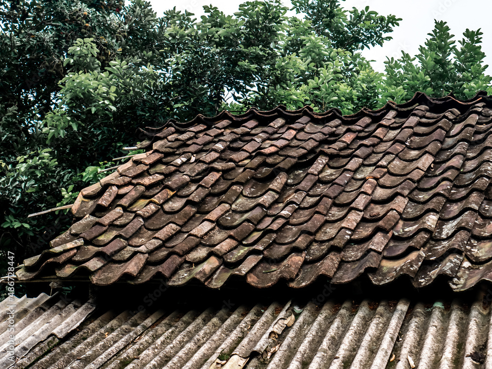 tile roof of an old house
