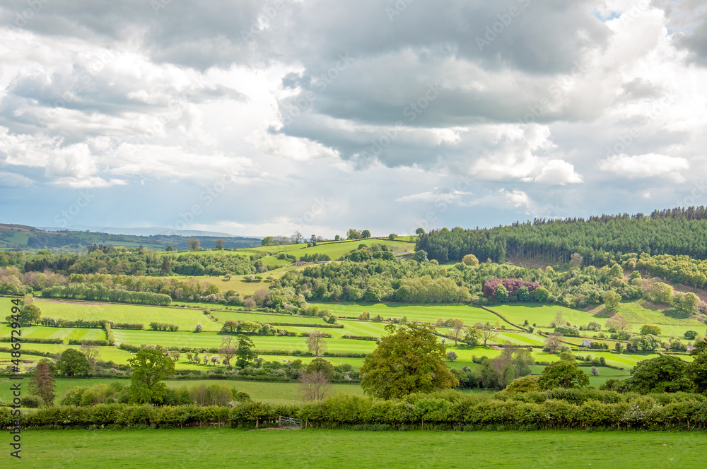Fototapeta premium UK countryside in the summertime.