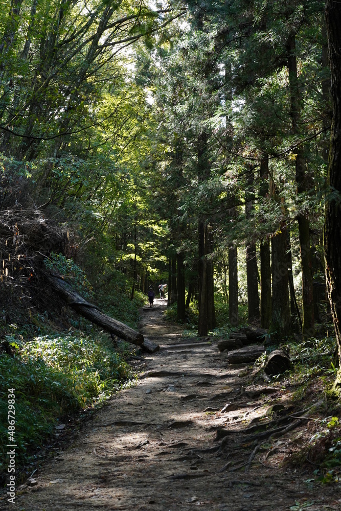 Obraz premium 妻籠ー馬籠間の散策路