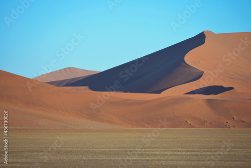 Sahara  dune  desert