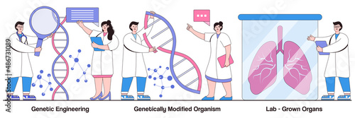 Genetic engineering, genetically modified organism, lab-grown organs concept with people character. Bioengineering vector illustration set. DNA manipulation, stem cells, transplantation metaphor