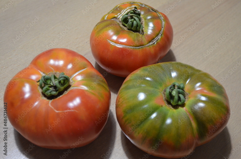 Obraz na płótnie Mięsiste, ekologiczne pomidory Malinowy Krakowski, świeżo zerwane z krzaka w salonie